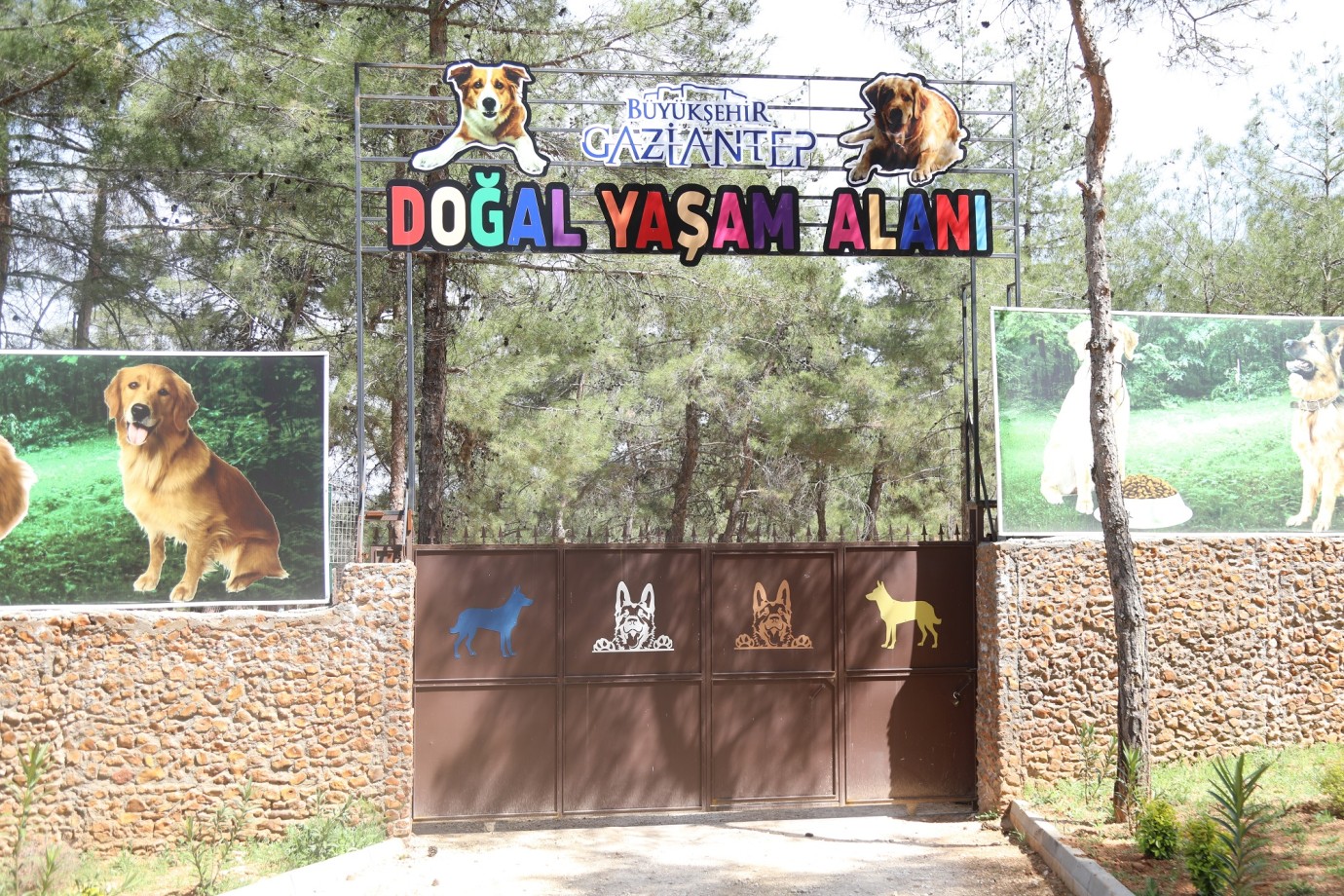 Sokak hayvanları Yazıbağ'da güvendi