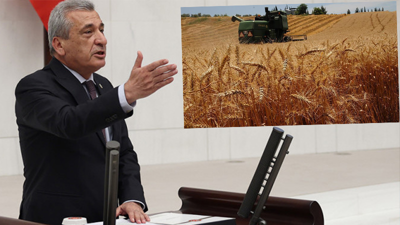 Öztürkmen'den buğday uyarısı