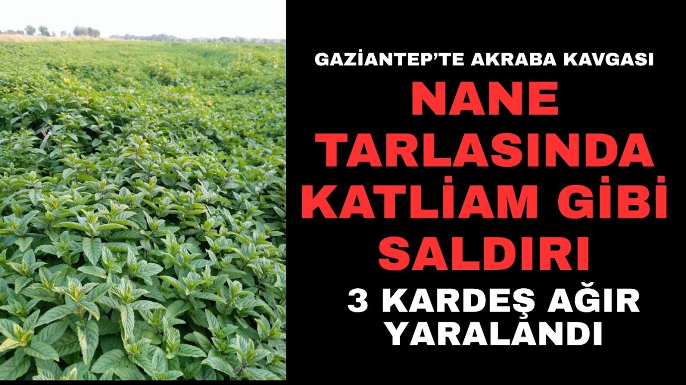 Köyde katliam gibi saldırı