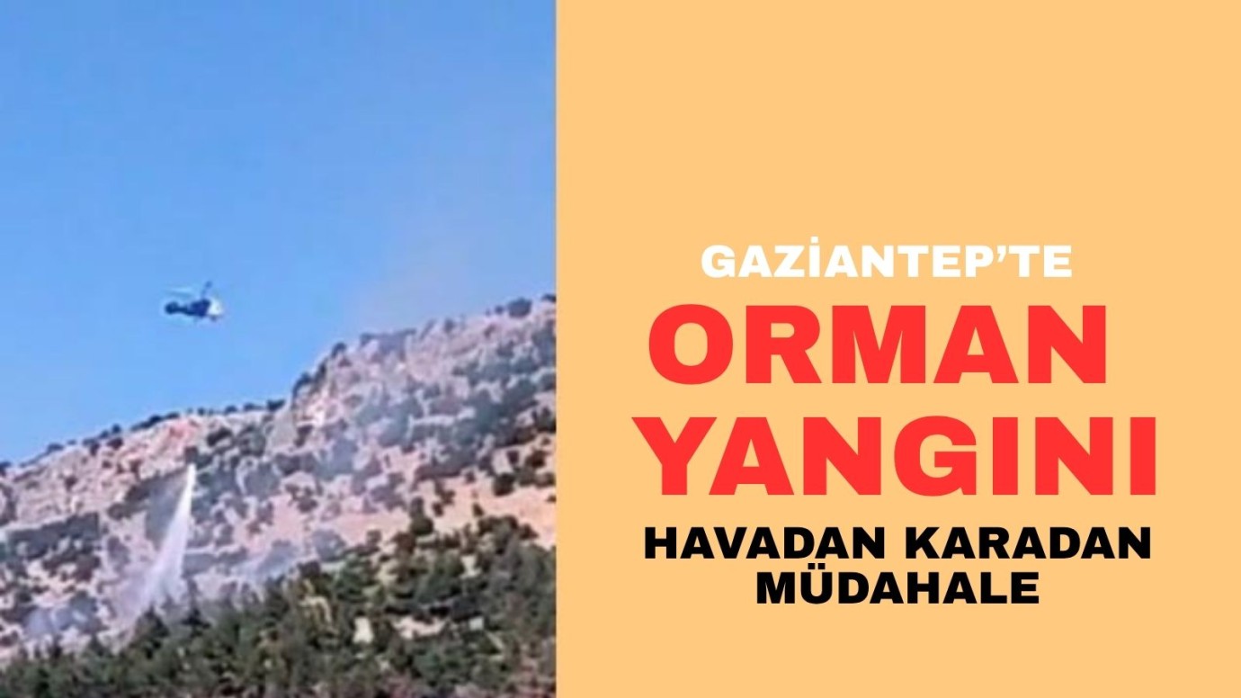 Gaziantep'te orman yangını
