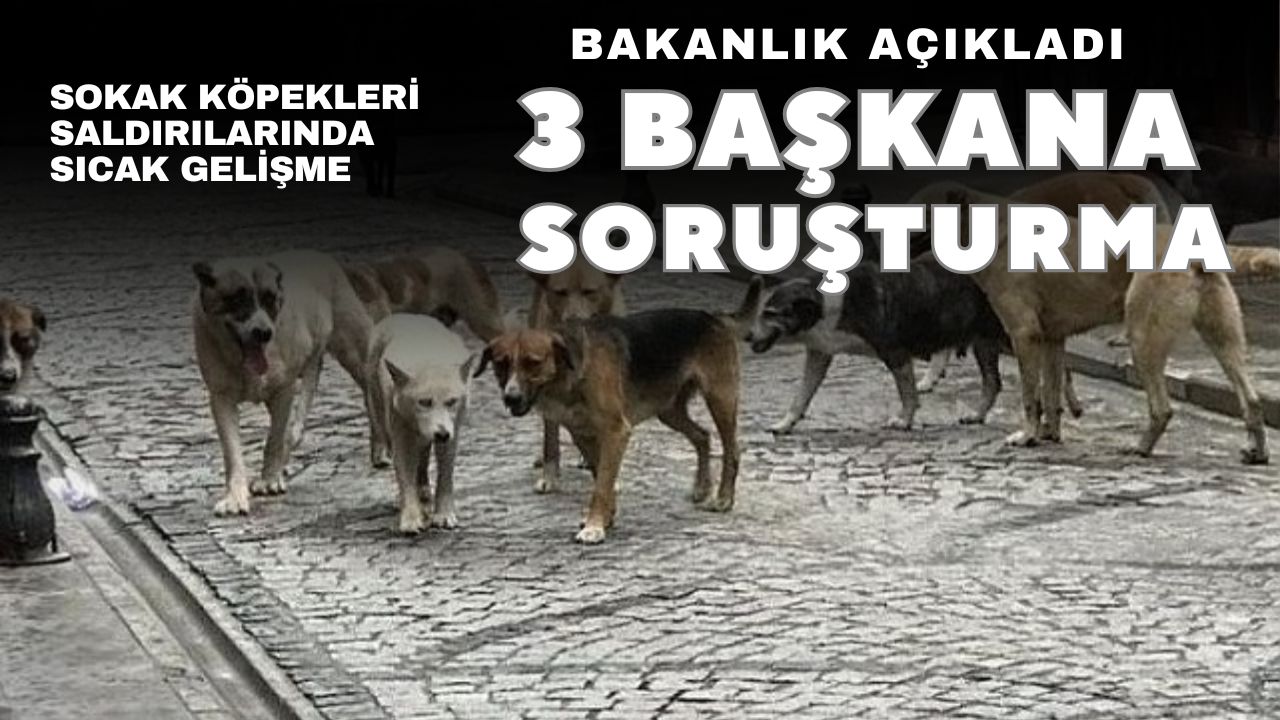 3 başkana soruşturma izni