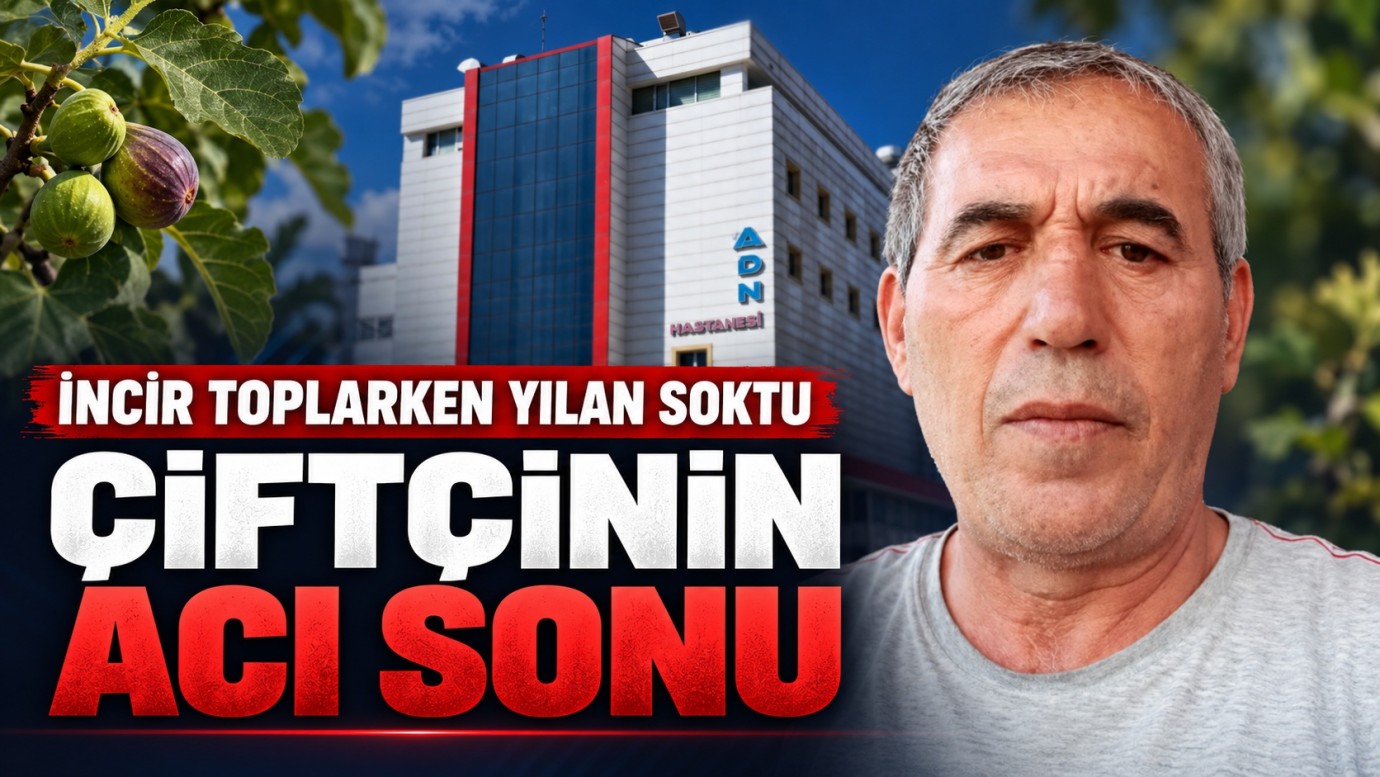 İncir toplarken yılan soktu 