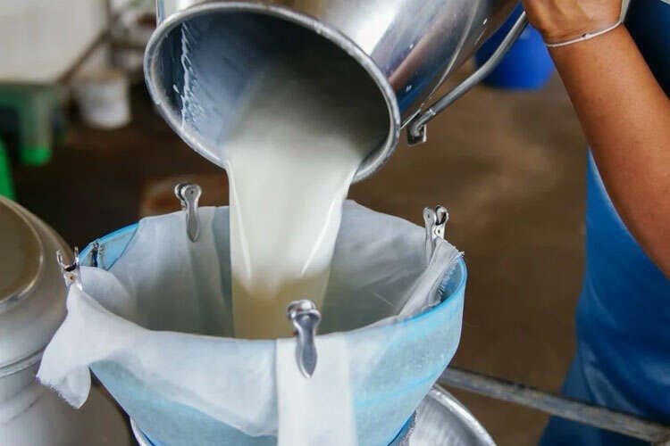 Çiğ Süt Üretiminde Düşüş 